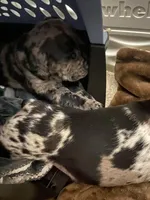 processed/97d5d2ad-2caf-4ea1-85b8-c62e360dd8a0/listing/6861e9bc-0f04-470e-8ed6-54f1b97bb4cf/2e79529a-7b71-4016-9ec3-e87736453086