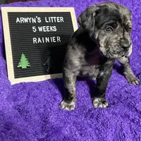 processed/97d5d2ad-2caf-4ea1-85b8-c62e360dd8a0/listing/6861e9bc-0f04-470e-8ed6-54f1b97bb4cf/88d5eaba-afc9-4690-9353-c7e18e54f476