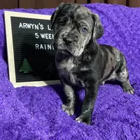 processed/97d5d2ad-2caf-4ea1-85b8-c62e360dd8a0/listing/6861e9bc-0f04-470e-8ed6-54f1b97bb4cf/99c1a08d-8028-4f83-9eb2-883eba09cb45