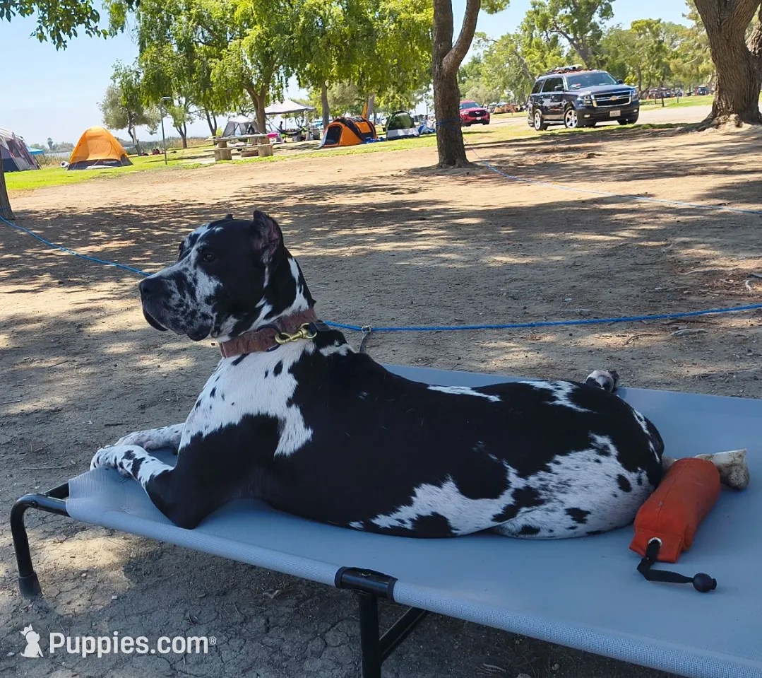 processed/97d5d2ad-2caf-4ea1-85b8-c62e360dd8a0/listing/6861e9bc-0f04-470e-8ed6-54f1b97bb4cf/a6a05407-0006-469d-a99c-dfb4dab17db7