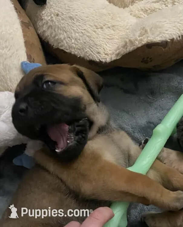 processed/97d5d2ad-2caf-4ea1-85b8-c62e360dd8a0/listing/cc386291-1b6a-4c3b-a761-69e7a2503b65/7886d670-8343-4302-ad1a-c769812506bf