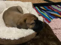 processed/97d5d2ad-2caf-4ea1-85b8-c62e360dd8a0/listing/cc386291-1b6a-4c3b-a761-69e7a2503b65/8af471f4-4f56-4099-9aa2-9d5c8be9a58d