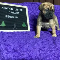 processed/97d5d2ad-2caf-4ea1-85b8-c62e360dd8a0/listing/cc386291-1b6a-4c3b-a761-69e7a2503b65/ac714fd9-83d0-4b48-ab03-7a1fda5860a8