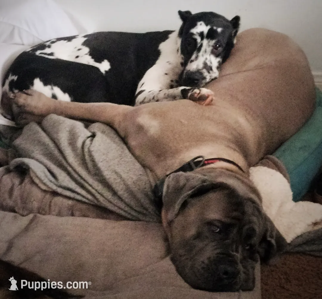 processed/97d5d2ad-2caf-4ea1-85b8-c62e360dd8a0/listing/cc386291-1b6a-4c3b-a761-69e7a2503b65/e3070f3a-4c8b-4048-9dff-7fe7b00135b1