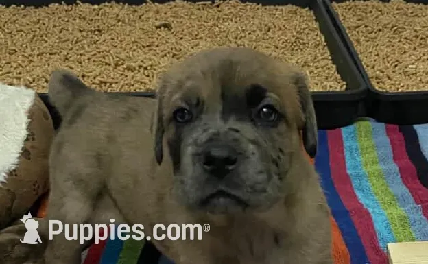 processed/97d5d2ad-2caf-4ea1-85b8-c62e360dd8a0/listing/d72c090d-cec5-46fe-8ce1-3d113990b042/03d48417-861e-4413-84c2-6f12e31b4b20