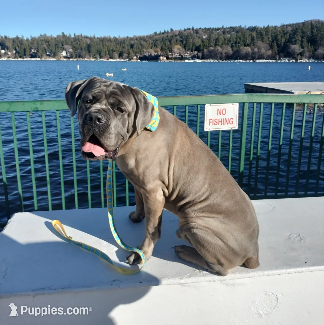 processed/97d5d2ad-2caf-4ea1-85b8-c62e360dd8a0/listing/d72c090d-cec5-46fe-8ce1-3d113990b042/a402c787-2ea3-408c-ba5a-2da36de082be