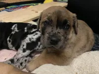 processed/97d5d2ad-2caf-4ea1-85b8-c62e360dd8a0/listing/d72c090d-cec5-46fe-8ce1-3d113990b042/d9300068-300e-4f3e-a99c-44d1d245b68c