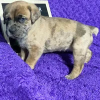 processed/97d5d2ad-2caf-4ea1-85b8-c62e360dd8a0/listing/d72c090d-cec5-46fe-8ce1-3d113990b042/e532399b-1ce4-4be4-9fb4-20ed415b55e7