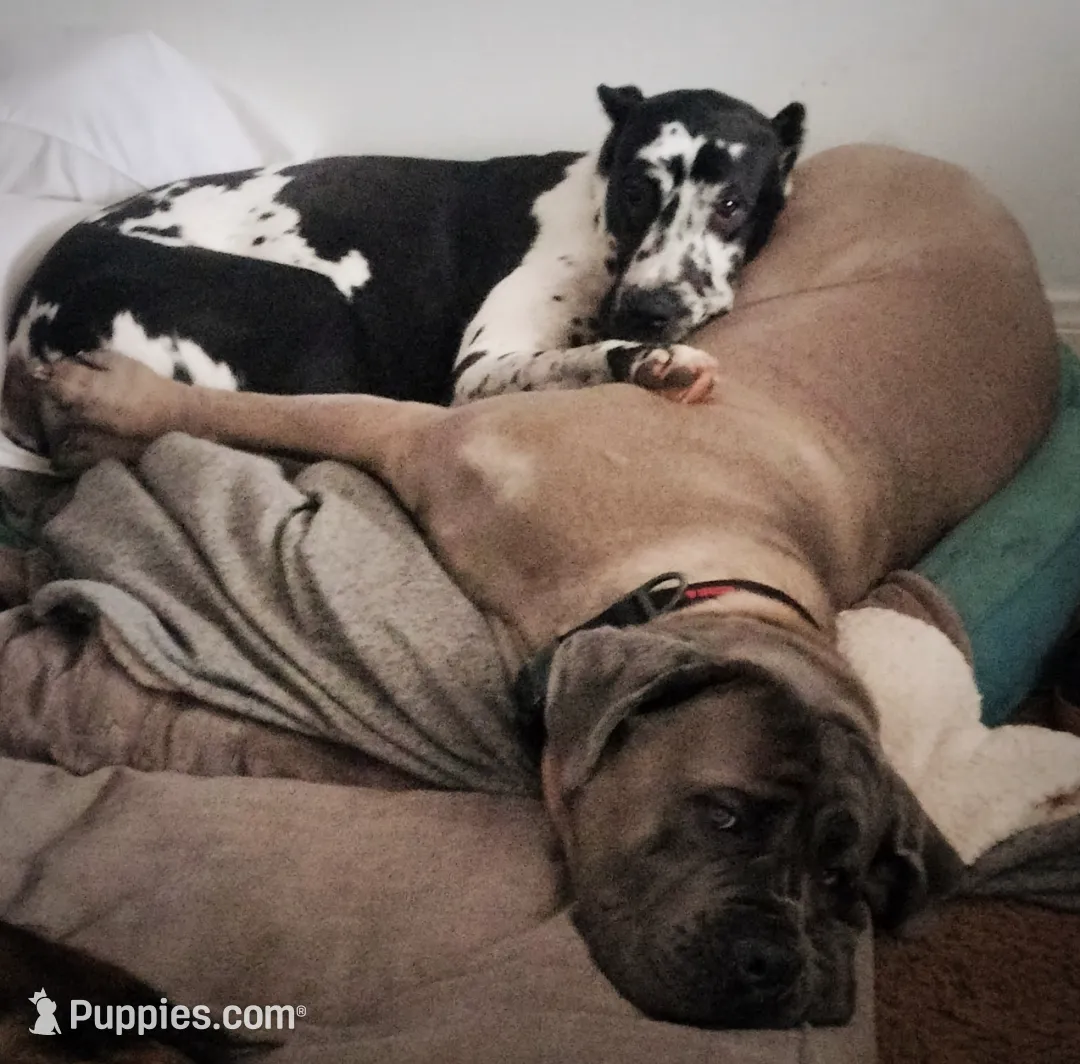 processed/97d5d2ad-2caf-4ea1-85b8-c62e360dd8a0/listing/d72c090d-cec5-46fe-8ce1-3d113990b042/f8372ec1-524d-48f5-b063-1fa428f33796