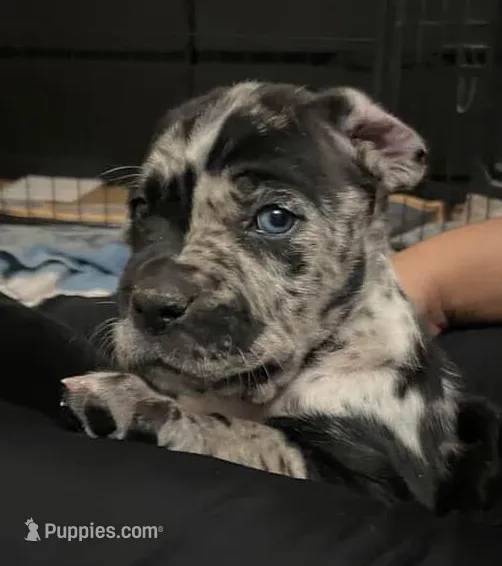 processed/97d5d2ad-2caf-4ea1-85b8-c62e360dd8a0/listing/da2c02e9-a79d-44a7-9628-514bed3dc8a2/33e468d7-26da-4a41-a178-a4f1ba1d66cf