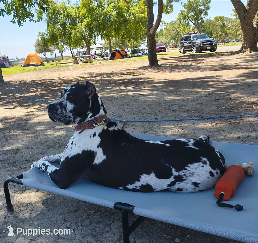 processed/97d5d2ad-2caf-4ea1-85b8-c62e360dd8a0/listing/da2c02e9-a79d-44a7-9628-514bed3dc8a2/3b259d2e-e064-4cb1-8d8c-9975904f7dd5