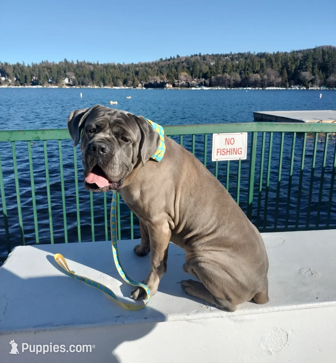 processed/97d5d2ad-2caf-4ea1-85b8-c62e360dd8a0/listing/da2c02e9-a79d-44a7-9628-514bed3dc8a2/3c00e173-d466-40ab-933c-8b2a0dcb661e