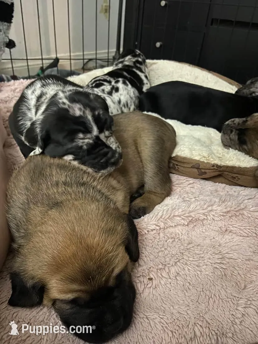 processed/97d5d2ad-2caf-4ea1-85b8-c62e360dd8a0/listing/da2c02e9-a79d-44a7-9628-514bed3dc8a2/796aa3dd-1800-44f7-9312-7b708164fd64