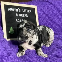 processed/97d5d2ad-2caf-4ea1-85b8-c62e360dd8a0/listing/da2c02e9-a79d-44a7-9628-514bed3dc8a2/c89d98da-8108-444f-85f2-1cfddf0af646