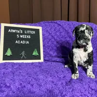 processed/97d5d2ad-2caf-4ea1-85b8-c62e360dd8a0/listing/da2c02e9-a79d-44a7-9628-514bed3dc8a2/ecbc0cdc-33d1-483f-ac40-58760cb5230f