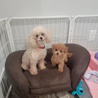 processed/97da2de2-21e0-4e90-bd00-ae1acc20c3a8/facility/21f31326-4536-499f-9d45-50548848cd7b