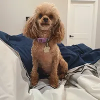 processed/97da2de2-21e0-4e90-bd00-ae1acc20c3a8/facility/6d5bd62f-94f2-4002-9715-83be21c6e7ab