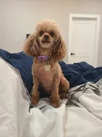 processed/97da2de2-21e0-4e90-bd00-ae1acc20c3a8/facility/6d5bd62f-94f2-4002-9715-83be21c6e7ab