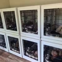 processed/97da2de2-21e0-4e90-bd00-ae1acc20c3a8/facility/79ada1ce-883f-46f5-b2cd-e5c80a30b616