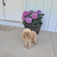 processed/97da2de2-21e0-4e90-bd00-ae1acc20c3a8/facility/af28e194-0d21-4da9-b2de-a3ea6d26a56a