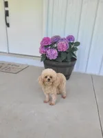 processed/97da2de2-21e0-4e90-bd00-ae1acc20c3a8/facility/af28e194-0d21-4da9-b2de-a3ea6d26a56a