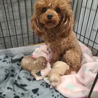 processed/97da2de2-21e0-4e90-bd00-ae1acc20c3a8/facility/dc3c7518-67ba-46bf-89e9-eabe6f2087fa