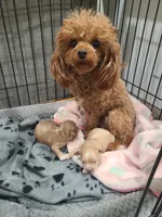 processed/97da2de2-21e0-4e90-bd00-ae1acc20c3a8/facility/dc3c7518-67ba-46bf-89e9-eabe6f2087fa