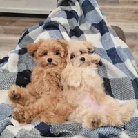 processed/97da2de2-21e0-4e90-bd00-ae1acc20c3a8/facility/f32ce35a-04b0-4871-b5ba-ba178a16d998