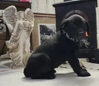 processed/97dc61aa-b9d0-47b2-b00e-f298ff32a46a/listing/edae6ef2-46ff-41fb-8b18-3084bb4849b8/1147bb8a-e876-4627-97c1-04fb45c8c139