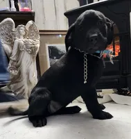 processed/97dc61aa-b9d0-47b2-b00e-f298ff32a46a/listing/edae6ef2-46ff-41fb-8b18-3084bb4849b8/19375639-69dc-4eb1-8847-31f0cc5e24b3