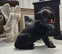 processed/97dc61aa-b9d0-47b2-b00e-f298ff32a46a/listing/edae6ef2-46ff-41fb-8b18-3084bb4849b8/2b7a8589-106b-48da-a365-5f1b1f4b1931