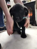 processed/97dc61aa-b9d0-47b2-b00e-f298ff32a46a/listing/edae6ef2-46ff-41fb-8b18-3084bb4849b8/c35178e2-e917-465c-9ffd-158c3caa291a