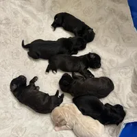 processed/97de0d0d-c2a5-44ba-a12d-4746f95be9dd/facility/14aa6623-e2d3-4847-84be-3179f83dca16