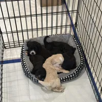 processed/97de0d0d-c2a5-44ba-a12d-4746f95be9dd/facility/a064e66a-83e5-494a-afff-3ba6381d3be4