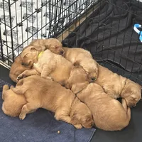 processed/97e6b38c-6c7e-48bd-bba3-872bf0a58fca/facility/1d7be606-6507-4467-8c47-371016406210