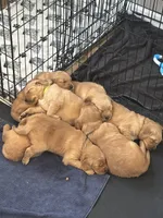 processed/97e6b38c-6c7e-48bd-bba3-872bf0a58fca/facility/1d7be606-6507-4467-8c47-371016406210