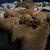 processed/97e6b38c-6c7e-48bd-bba3-872bf0a58fca/facility/2ef9bbb4-4792-49ac-b92f-88211b8c6940