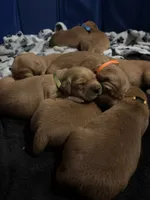 processed/97e6b38c-6c7e-48bd-bba3-872bf0a58fca/facility/2ef9bbb4-4792-49ac-b92f-88211b8c6940