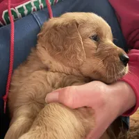 processed/97e6b38c-6c7e-48bd-bba3-872bf0a58fca/facility/42db9f55-0a99-43e0-afb2-27a94df67c6c