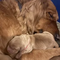 processed/97e6b38c-6c7e-48bd-bba3-872bf0a58fca/facility/4546abeb-100f-40f4-ab40-ce705dd4dc31