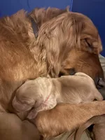 processed/97e6b38c-6c7e-48bd-bba3-872bf0a58fca/facility/4546abeb-100f-40f4-ab40-ce705dd4dc31