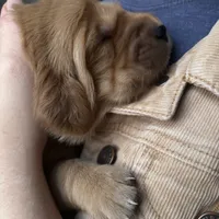 processed/97e6b38c-6c7e-48bd-bba3-872bf0a58fca/facility/5cfd00fe-5846-44b7-9d6f-1509de085b3f