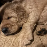 processed/97e6b38c-6c7e-48bd-bba3-872bf0a58fca/facility/84bd56c7-25ec-4f3d-8fb6-247903ee1995