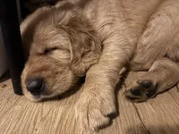 processed/97e6b38c-6c7e-48bd-bba3-872bf0a58fca/facility/84bd56c7-25ec-4f3d-8fb6-247903ee1995