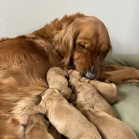 processed/97e6b38c-6c7e-48bd-bba3-872bf0a58fca/facility/97b516cc-f658-44a0-aa26-2d3bc2dd8712