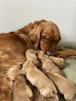 processed/97e6b38c-6c7e-48bd-bba3-872bf0a58fca/facility/97b516cc-f658-44a0-aa26-2d3bc2dd8712