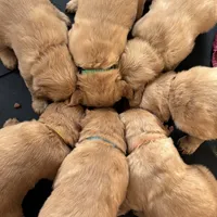 processed/97e6b38c-6c7e-48bd-bba3-872bf0a58fca/facility/cd915826-d2ad-4aee-b661-11a9d420ba95