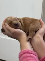 processed/97e6b38c-6c7e-48bd-bba3-872bf0a58fca/facility/f66924a8-b964-4e40-9019-428d4e590b24