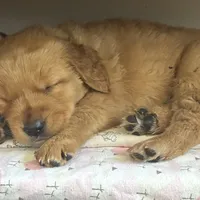 processed/97e6b38c-6c7e-48bd-bba3-872bf0a58fca/facility/fdbf724b-ffd6-4fe3-b681-bc18a05dd1aa