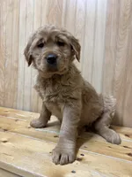 processed/97e6b38c-6c7e-48bd-bba3-872bf0a58fca/listing/f61be40c-c35f-4ac9-8e4a-8d473b28a25e/1e6a14f3-495f-4160-84ba-9eae8e3c7b35